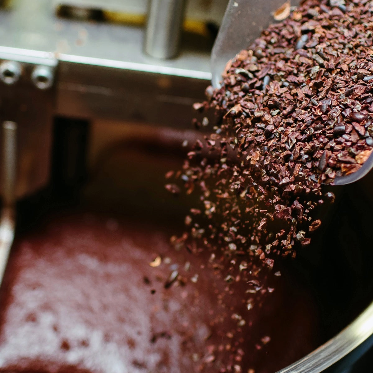 Histoire du cacao : de la haute Amazonie à la tablette de chocolat