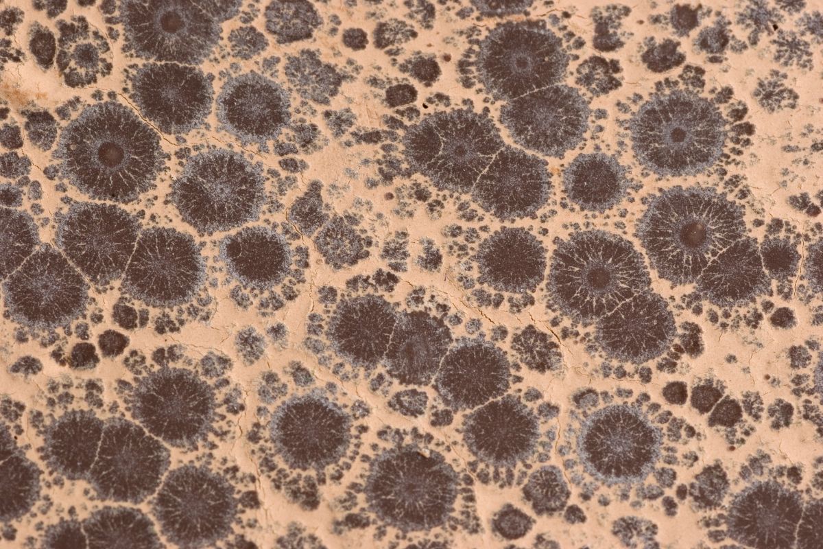 Chocolate bar showing fat bloom — a white, dusty coating caused by improper tempering or storage