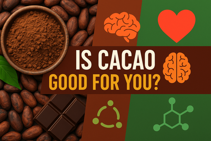 Le cacao est-il bon pour la santé ? Bienfaits du cacao en poudre et quantité par jour