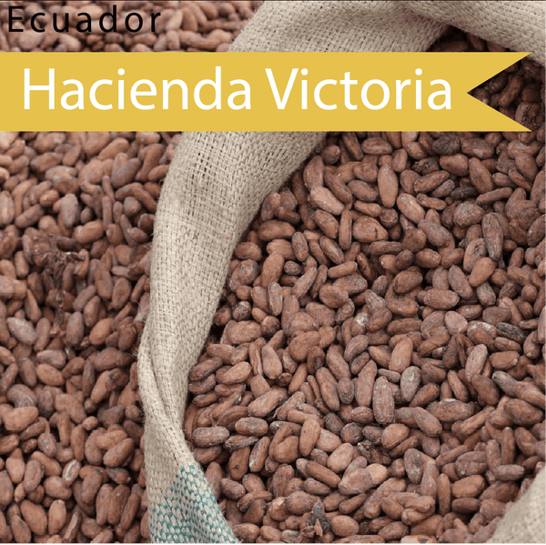Hacienda Victoria Cocoa Beans - Origin "Ecuador" - Raw, Fermented, Vegan