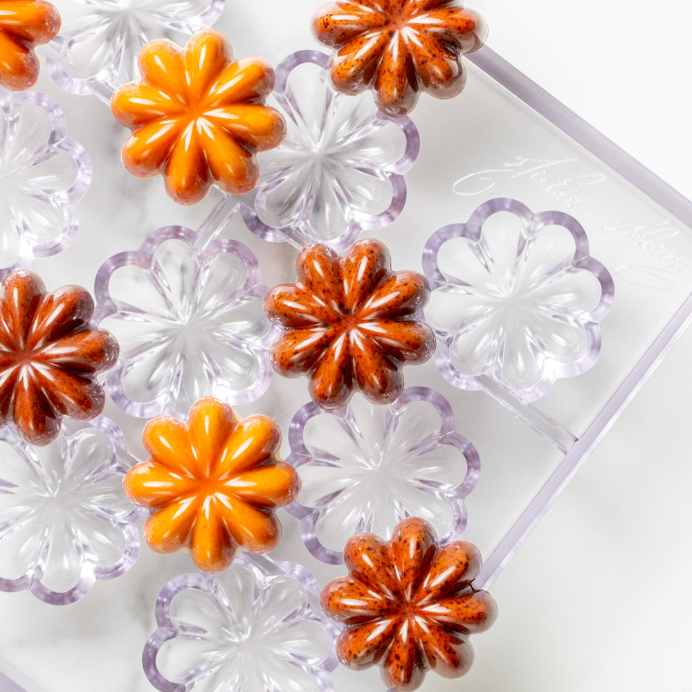Zucchero Canada