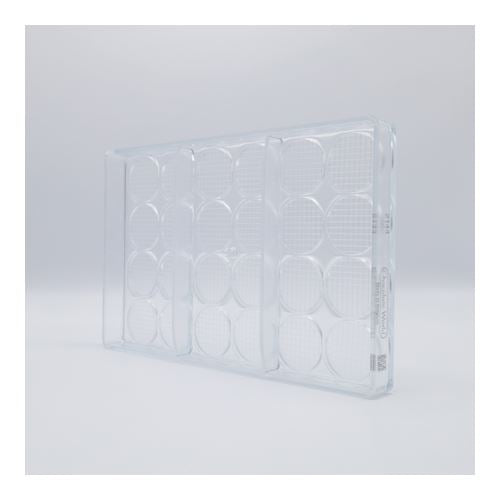 Zucchero Canada