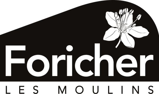 Foricher