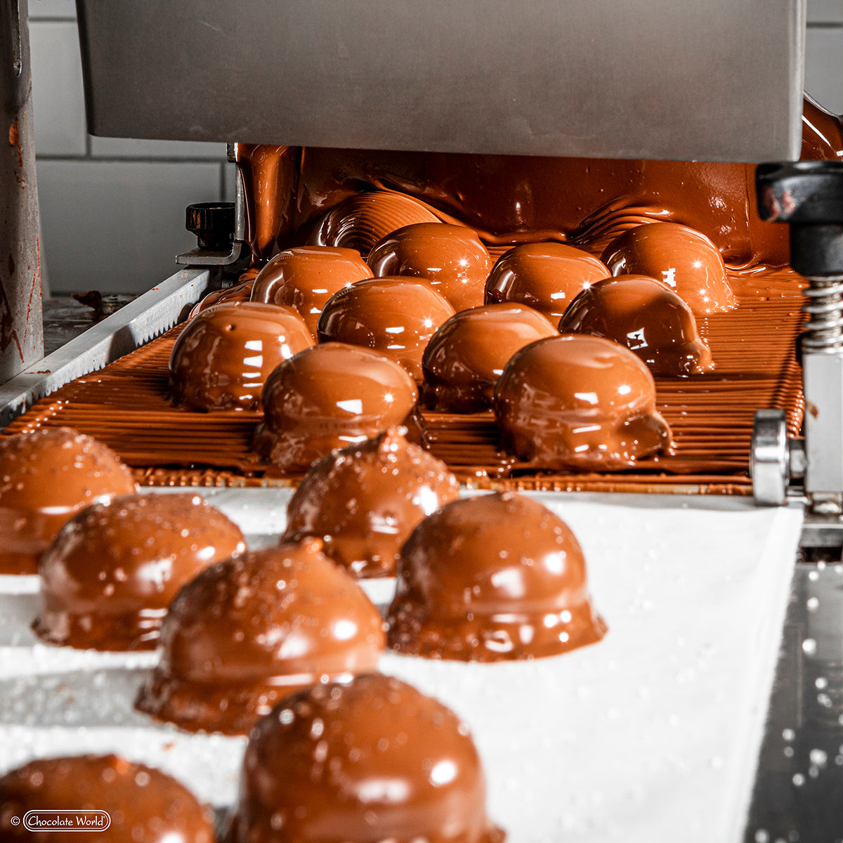 M1300A Enrobing Line | Zucchero Canada