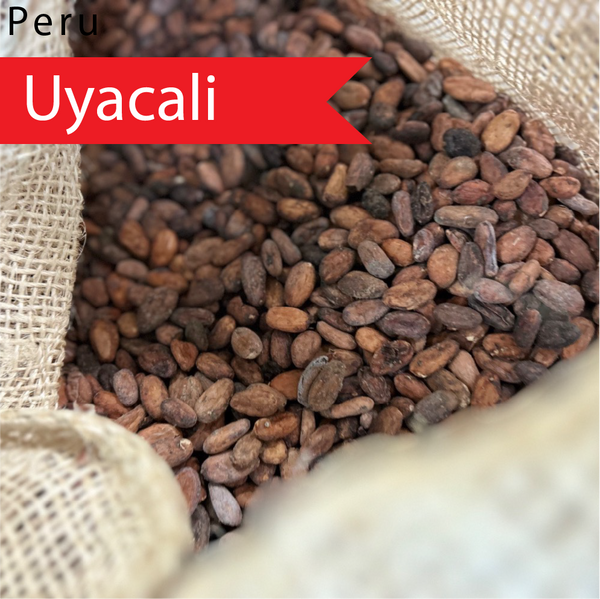 Ucayali Peru Raw Cacao Beans - Fine Flavor Fermented & Sun-Dried