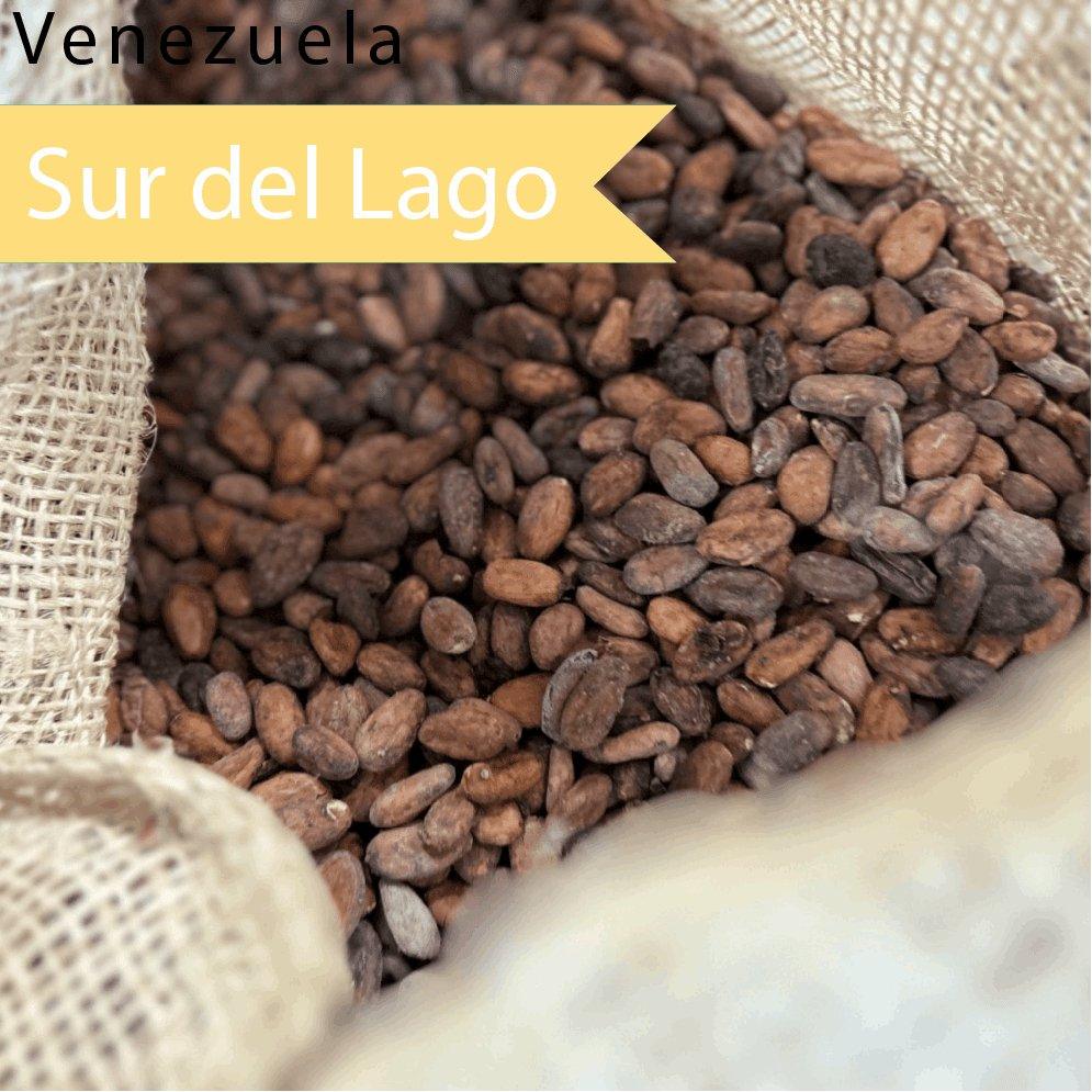 Cocoa Beans Sur del Lago - Origin "Venezuela" - Raw, Fermented, Vegan - Zucchero Canada